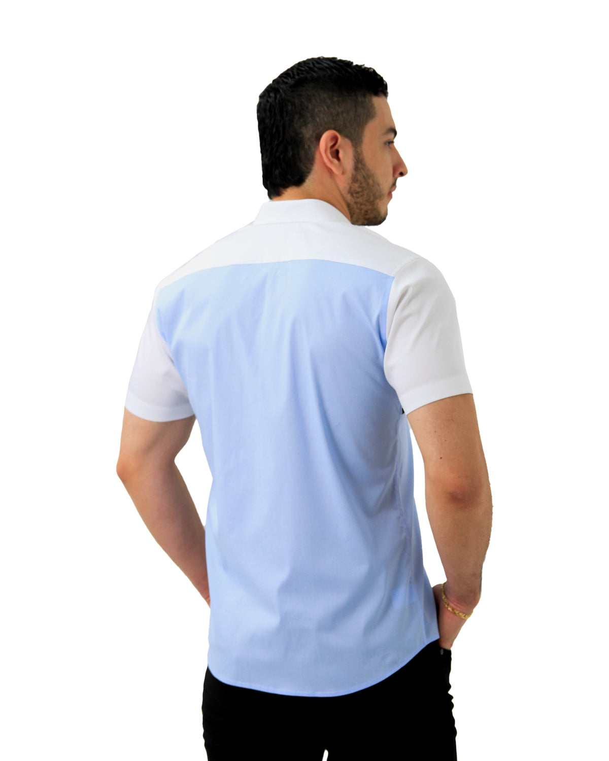 Camisa manga corta evolution